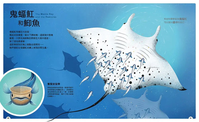 動物小夥伴：59 組你想不到的最佳拍檔，歡迎來到動植物共生的奇妙世界