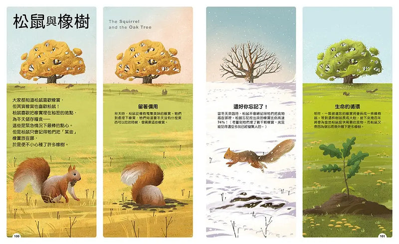 動物小夥伴：59 組你想不到的最佳拍檔，歡迎來到動植物共生的奇妙世界