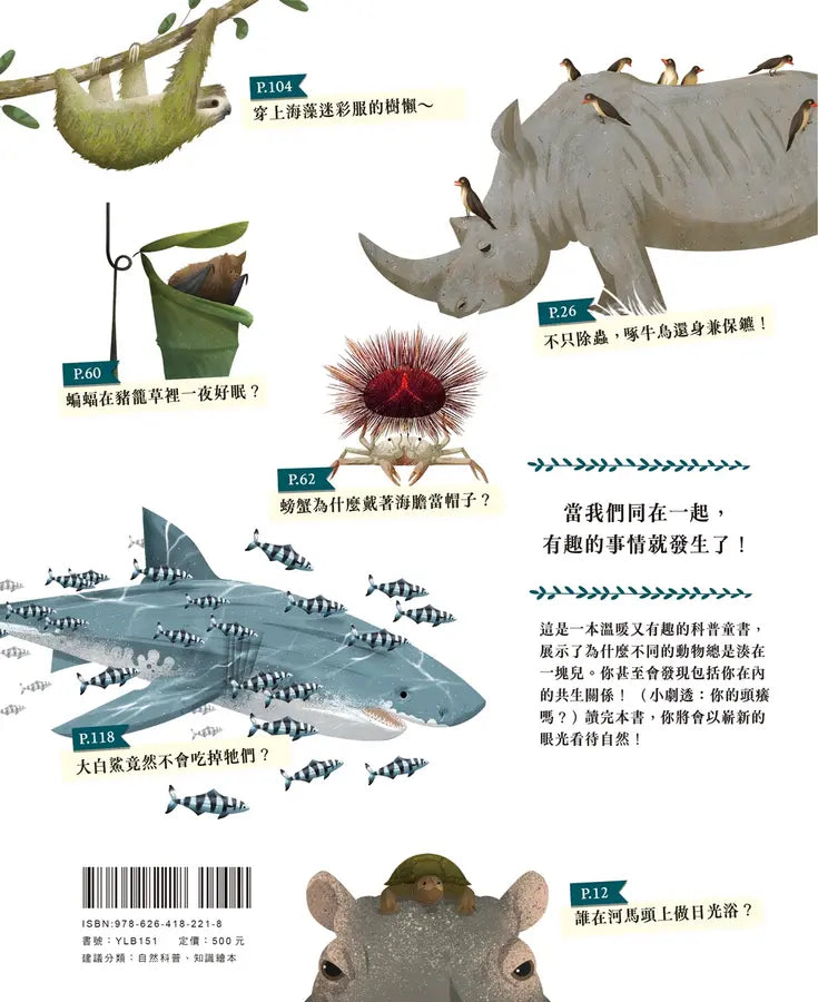 動物小夥伴：59 組你想不到的最佳拍檔，歡迎來到動植物共生的奇妙世界