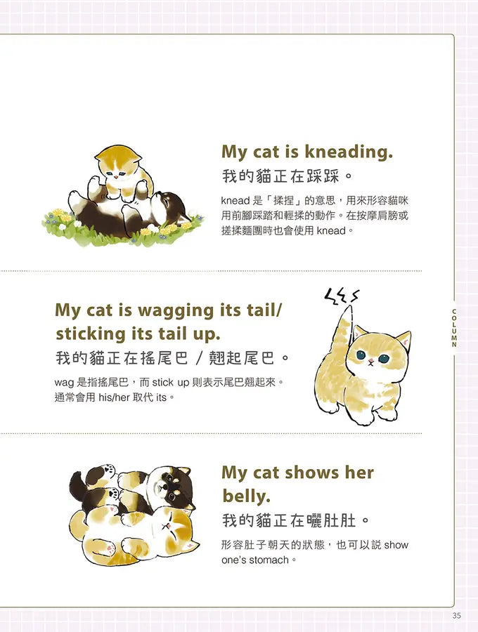 貓福珊迪陪你說英語-Children’s Educational: Language/ literature/ literacy-買書書 BuyBookBook