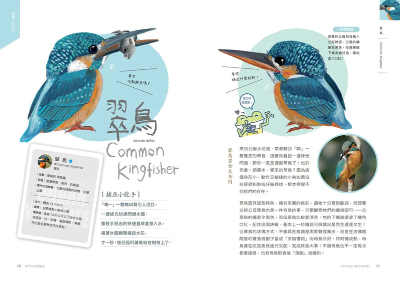 怪咖動物偵探2：家門外的野鄰居-Children’s / Teenage general interest: Nature and animals-買書書 BuyBookBook