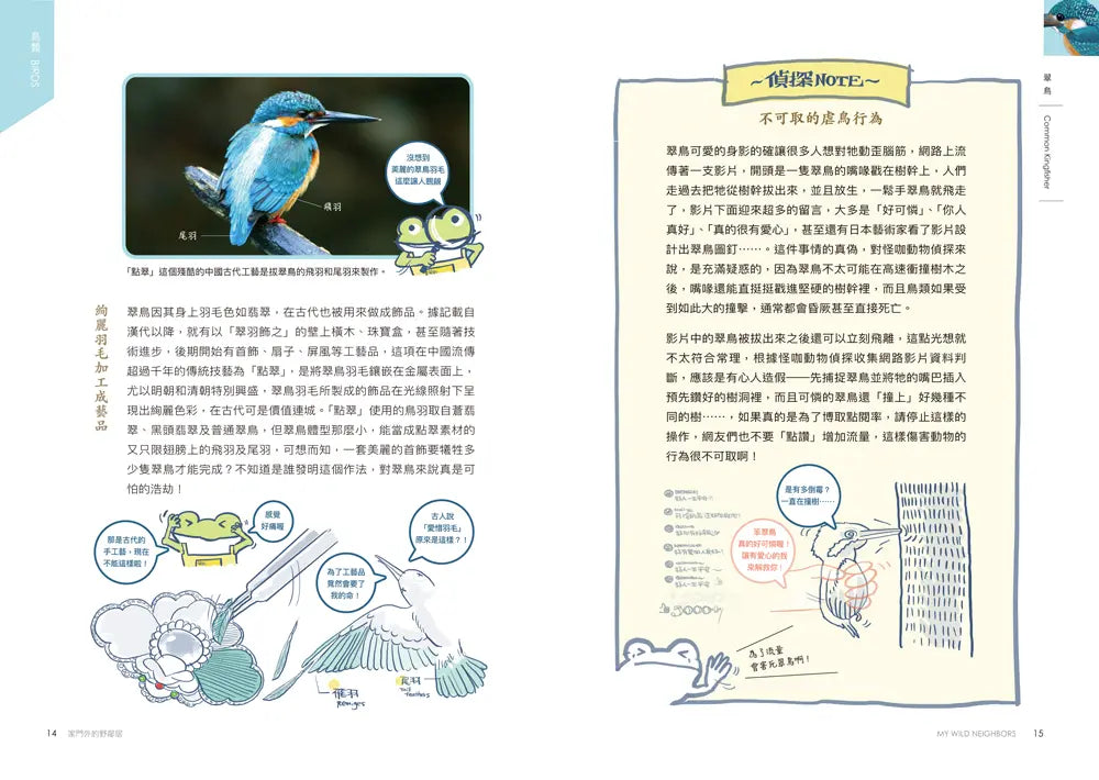 怪咖動物偵探2：家門外的野鄰居-Children’s / Teenage general interest: Nature and animals-買書書 BuyBookBook