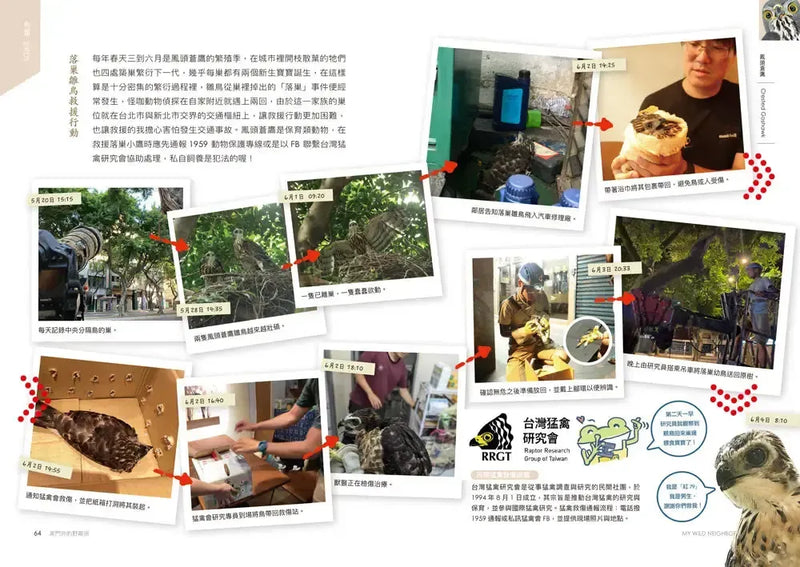 怪咖動物偵探2：家門外的野鄰居-Children’s / Teenage general interest: Nature and animals-買書書 BuyBookBook