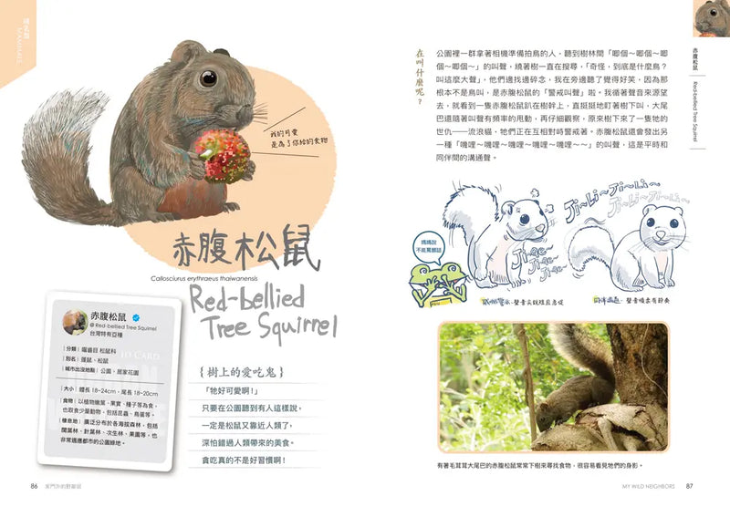 怪咖動物偵探2：家門外的野鄰居-Children’s / Teenage general interest: Nature and animals-買書書 BuyBookBook