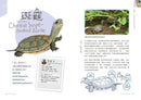 怪咖動物偵探2：家門外的野鄰居-Children’s / Teenage general interest: Nature and animals-買書書 BuyBookBook
