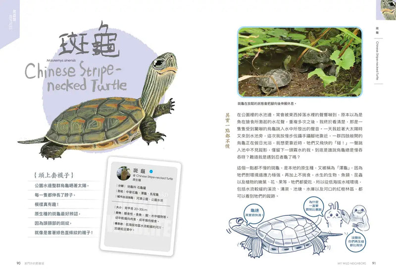 怪咖動物偵探2：家門外的野鄰居-Children’s / Teenage general interest: Nature and animals-買書書 BuyBookBook