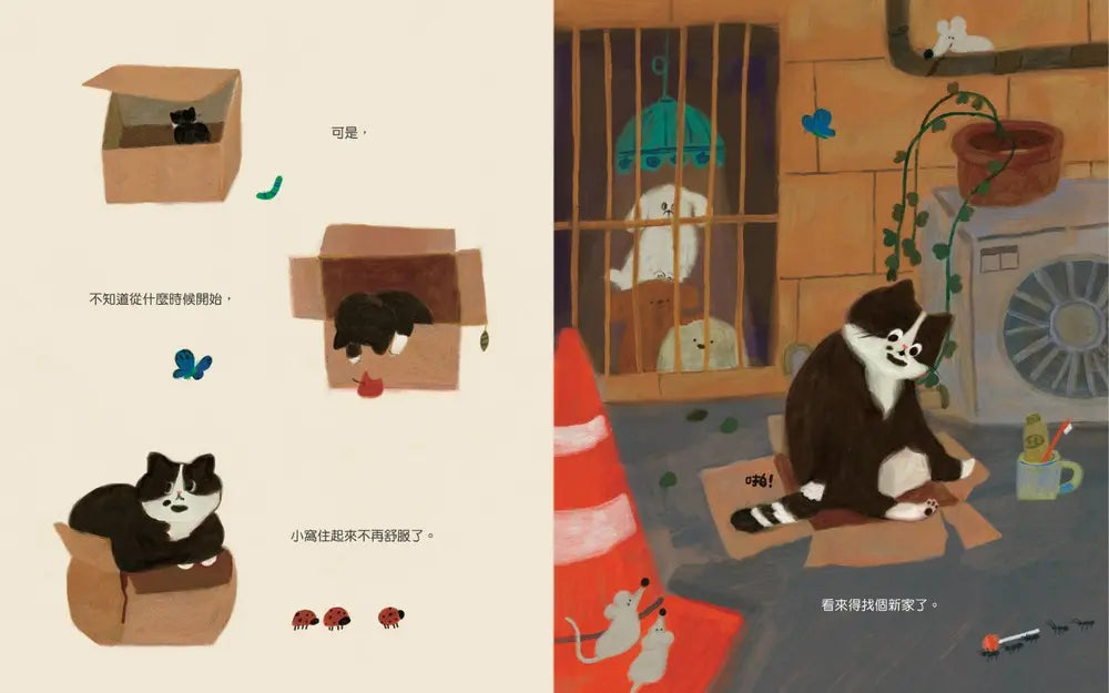 喵咪找新家！-Children’s picture books-買書書 BuyBookBook