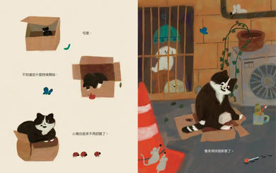 喵咪找新家！-Children’s picture books-買書書 BuyBookBook