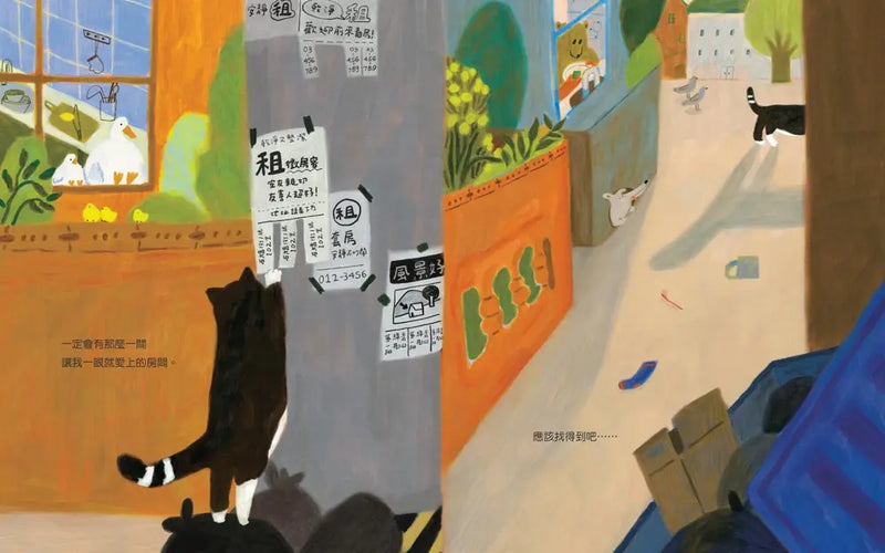 喵咪找新家！-Children’s picture books-買書書 BuyBookBook