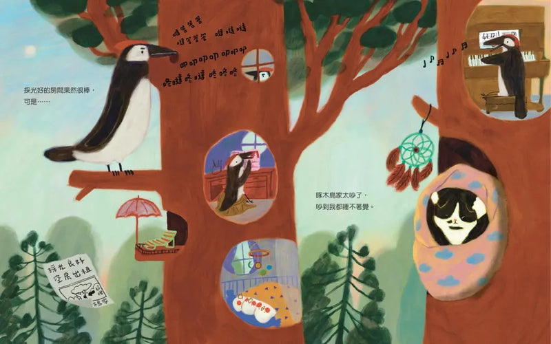 喵咪找新家！-Children’s picture books-買書書 BuyBookBook