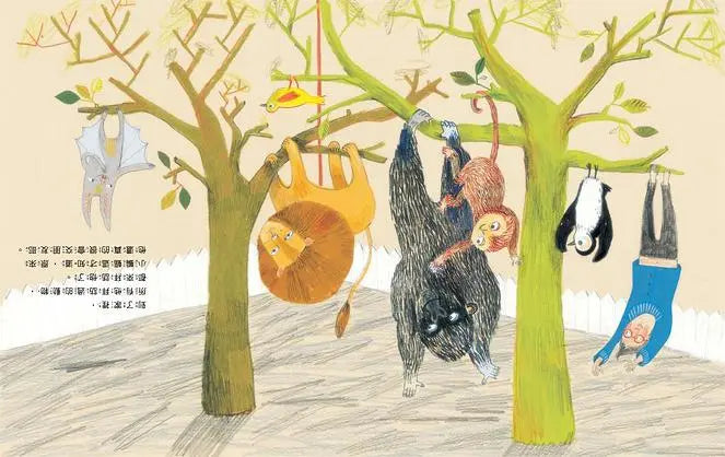 小蝙蝠找朋友-Children’s picture books-買書書 BuyBookBook