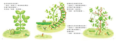 小蠶豆和好朋友們：小蠶豆奇妙的一天