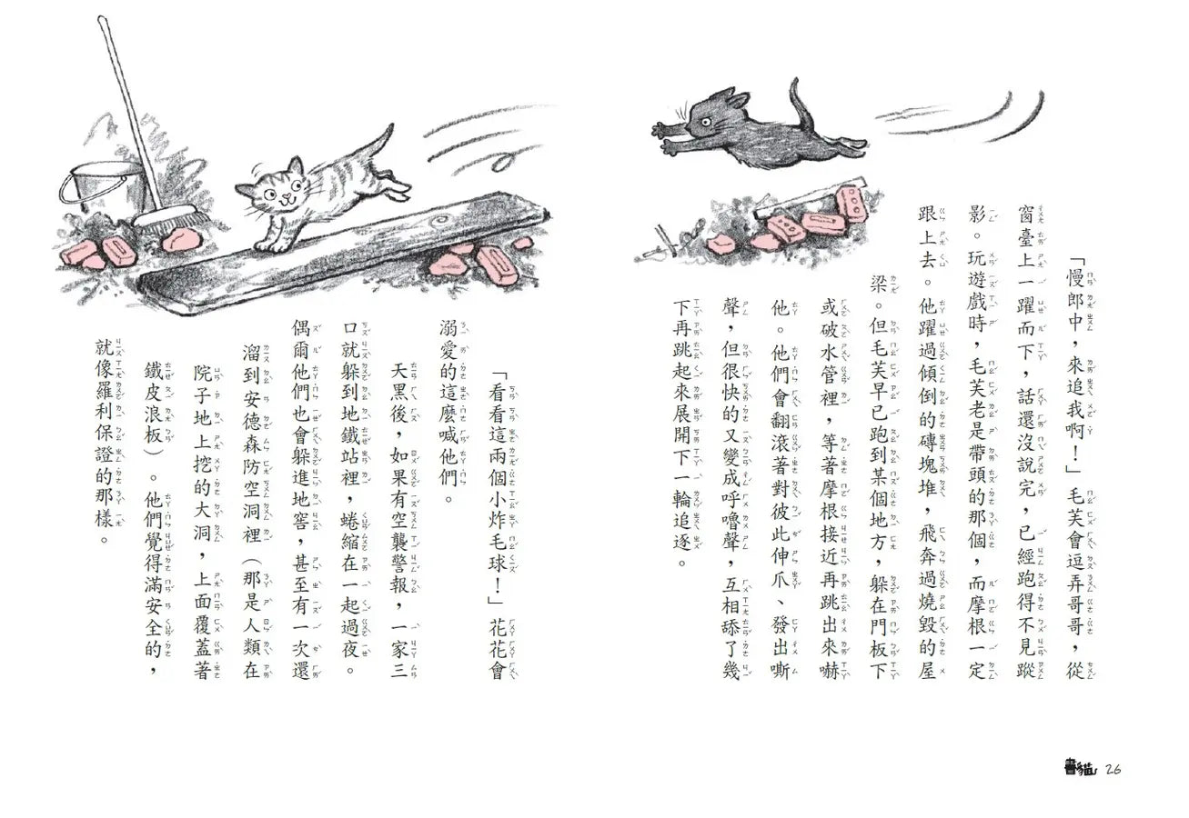 書貓：戰火下的祕密任務