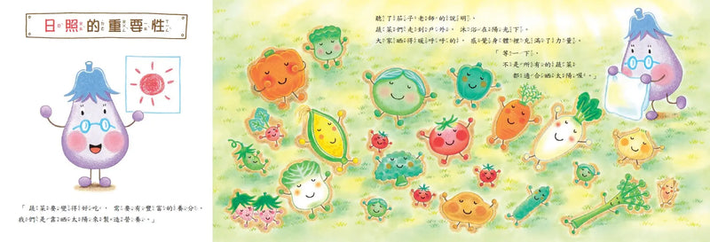 蔬菜學校6：茄子老師上課嘍！