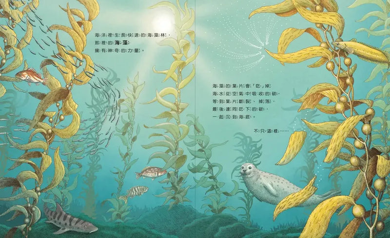 地球不碳氣：氣候變遷、減碳和我們的未來