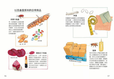 昆蟲解剖書：超過500幅手繪插圖，帶你探索最漂亮、最奇怪、最有趣的蟲蟲世界【限量贈送：作者手繪昆蟲透卡】 平裝書 Paperback