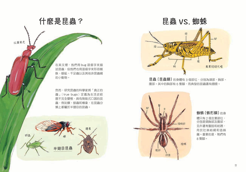 昆蟲解剖書：超過500幅手繪插圖，帶你探索最漂亮、最奇怪、最有趣的蟲蟲世界【限量贈送：作者手繪昆蟲透卡】 平裝書 Paperback