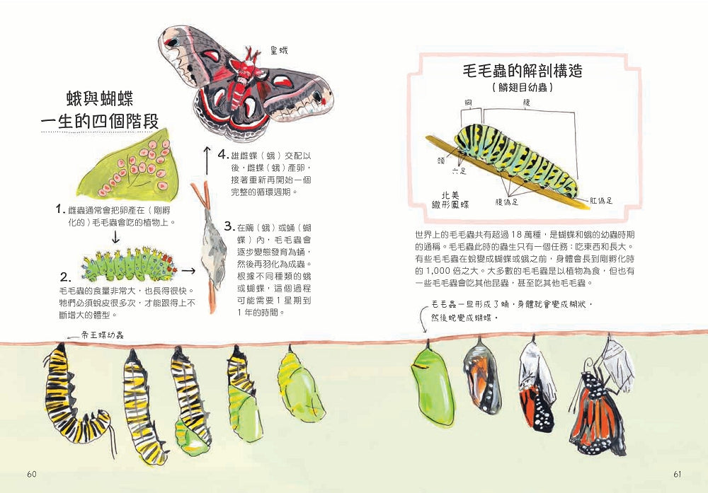 昆蟲解剖書：超過500幅手繪插圖，帶你探索最漂亮、最奇怪、最有趣的蟲蟲世界【限量贈送：作者手繪昆蟲透卡】 平裝書 Paperback