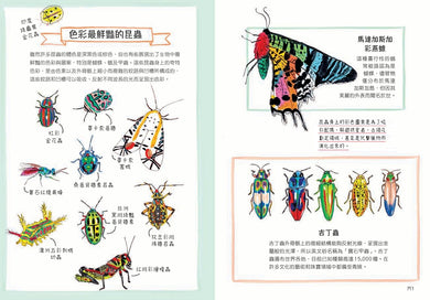 昆蟲解剖書：超過500幅手繪插圖，帶你探索最漂亮、最奇怪、最有趣的蟲蟲世界【限量贈送：作者手繪昆蟲透卡】 平裝書 Paperback