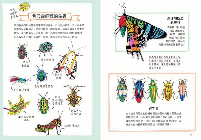 昆蟲解剖書：超過500幅手繪插圖，帶你探索最漂亮、最奇怪、最有趣的蟲蟲世界【限量贈送：作者手繪昆蟲透卡】 平裝書 Paperback
