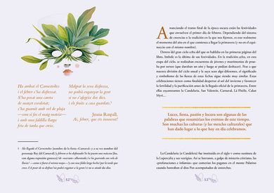 Año de brujas. Descubre la magia de las estaciones y las fiestas paganas / Year of Witches interior 4 (ISBN 9788419982438) [onix:2768d03bb261aea026b0061768816d91]