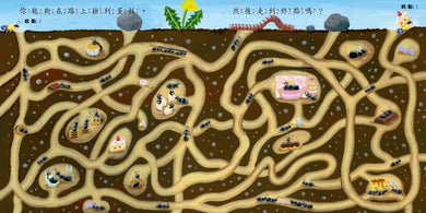 當一天昆蟲-Children’s picture books-買書書 BuyBookBook