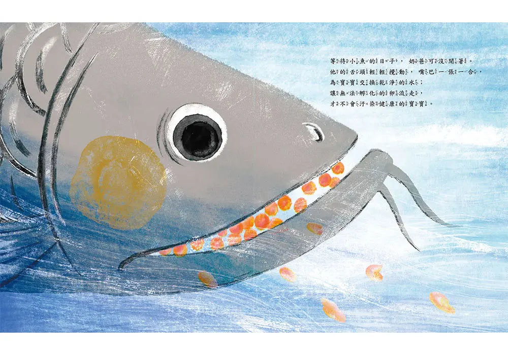 親愛的奶爸-Children’s / Teenage general interest: Nature and animals-買書書 BuyBookBook