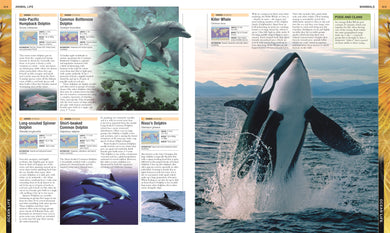 Ocean interior 3 (ISBN 9781409353997) [onix-asset:5df2c99eccdf8581c08c8a31250bb22cabcdb59baf7651d31b6ce0037623d872]