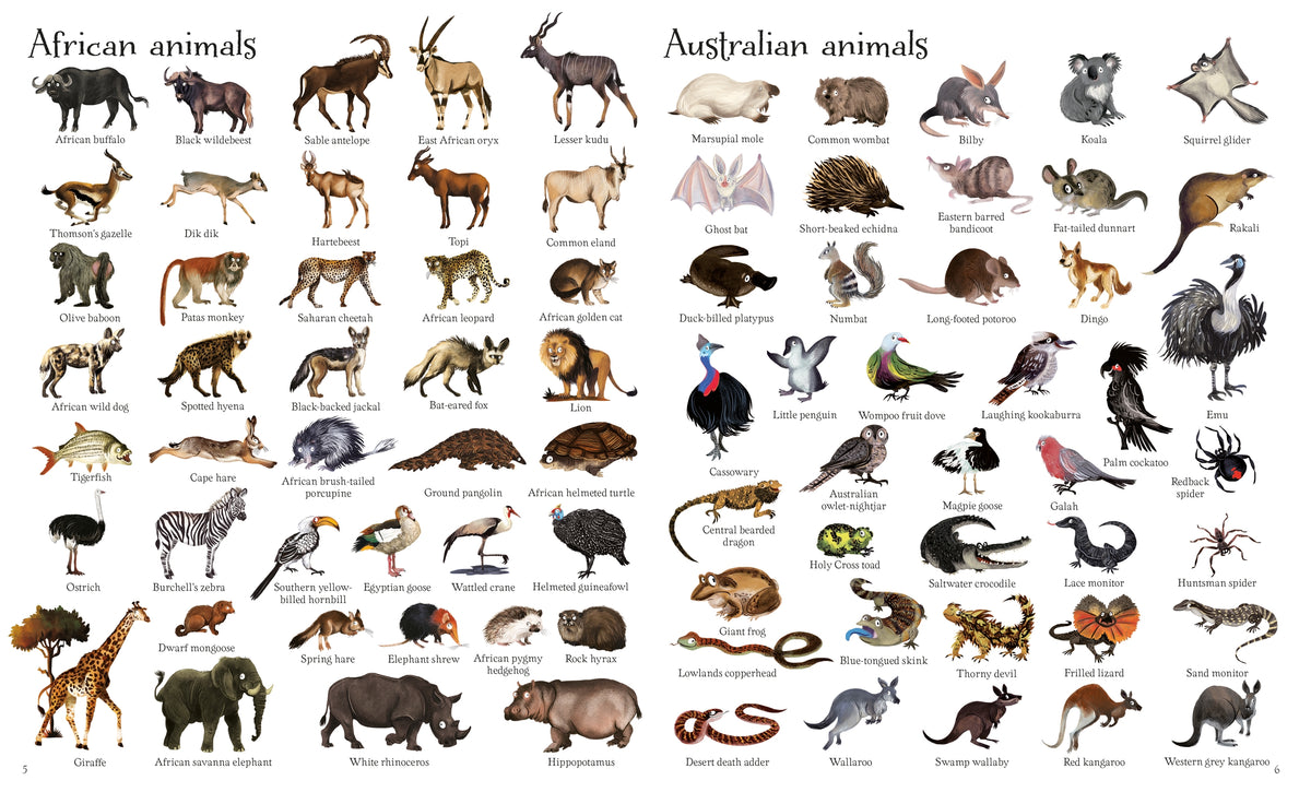1000 Animals interior 1 (ISBN 9781474951340) [onix-asset:6af859a5298028defd6105df71a82588f5fce5338017d3c52f7f83a51452728a]
