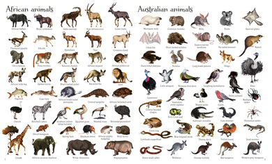 1000 Animals interior 1 (ISBN 9781474951340) [onix-asset:6af859a5298028defd6105df71a82588f5fce5338017d3c52f7f83a51452728a]