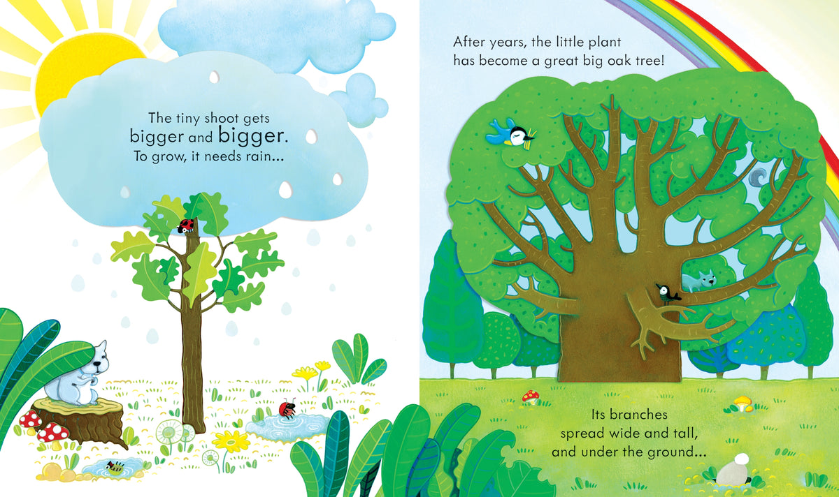 Peep Inside a Tree interior 1 (ISBN 9781474933841) [onix-asset:754165ff60892b84a0f874bb0902ba7921fb6ca34c8c807c82da3862196c3a9c]