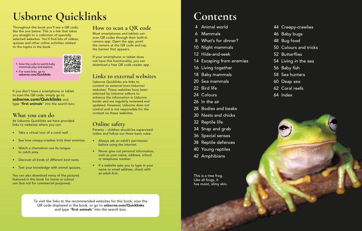 First Encyclopedia of Animals interior 1 (ISBN 9781836041641) [onix-asset:bdc526822981f88536a6f8799dbe512dcbd6fbc5b6aa233e8ac90908f9bd5aa0]