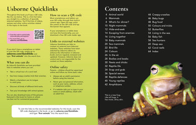 First Encyclopedia of Animals interior 1 (ISBN 9781836041641) [onix-asset:bdc526822981f88536a6f8799dbe512dcbd6fbc5b6aa233e8ac90908f9bd5aa0]
