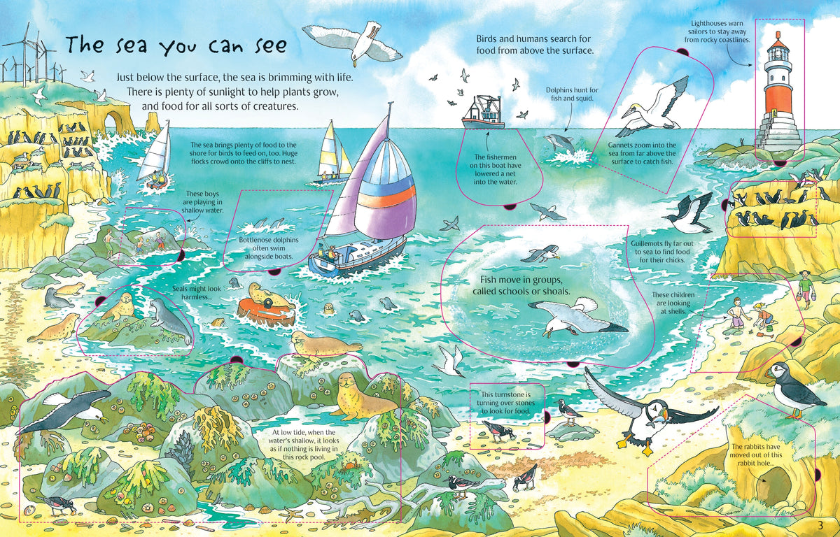 See Under the Sea interior 1 (ISBN 9780746096383) [onix-asset:c2c08b32d900f1f19d1edbbbe55913e5c0edb45ce2febea0551d988e7399fb1d]