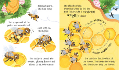 One Little Bee interior 1 (ISBN 9781805312628) [onix-asset:94e5d18931dfdae7126c9ea23ebfd459bf0322edbdaf29a0df4d2bd3aff5194d]