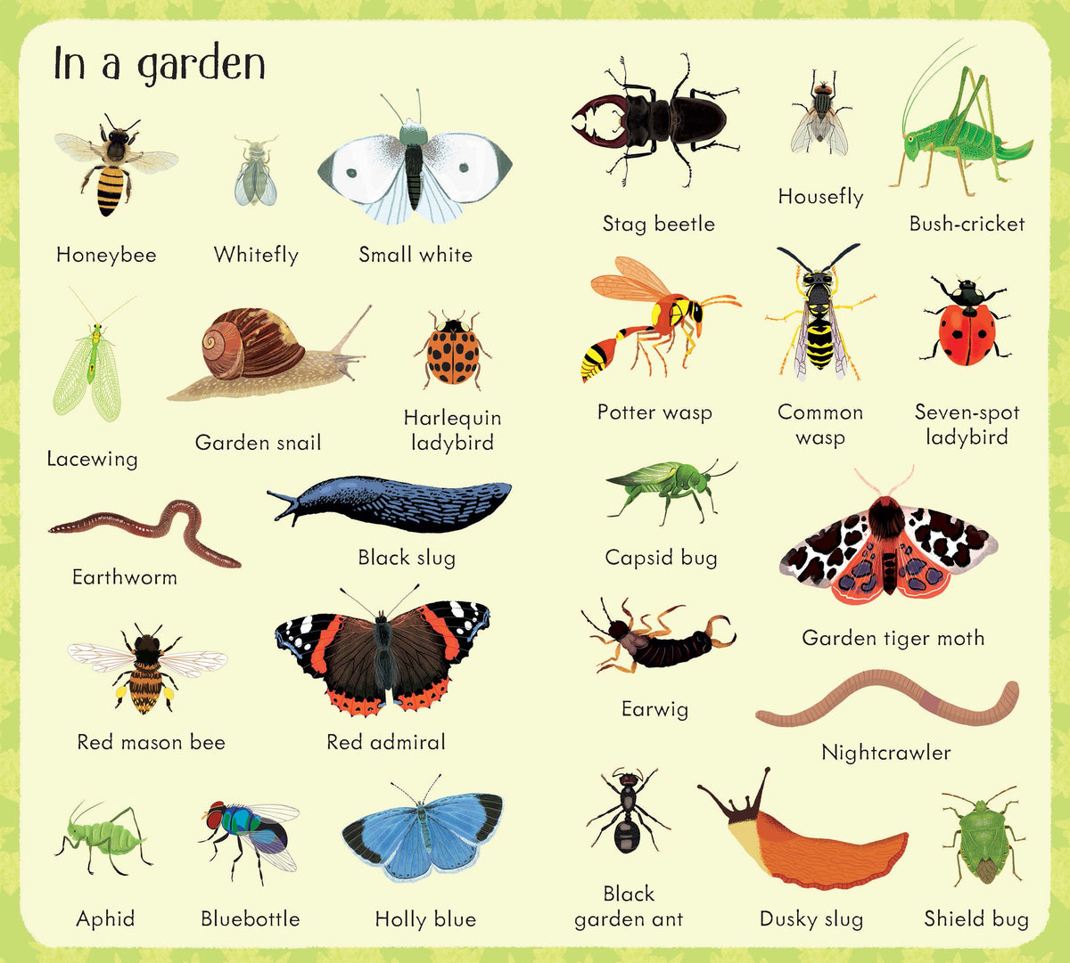 199 Bugs interior 1 (ISBN 9781474965200) [onix-asset:7b20b7aa4536be8a7a01a5c869bb0b113779366f63eb40b4fadf34a56be34f91]