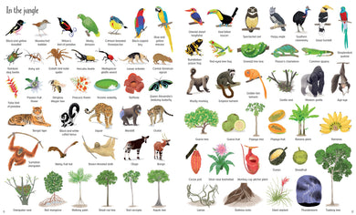 1000 Things in Nature interior 1 (ISBN 9781474922128) [onix-asset:a389915d04eb03d54a3d1ed2c5b24ad92a0a83472ccfc827db98bba098a93c9d]