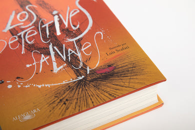Los detectives salvajes (edición ilustrada) / The Savage Detectives (Illustrated Edition) interior 2 (ISBN 9788420476445) [onix:fcb5dd5a0b0b4702e8c4c019733e4dd6]