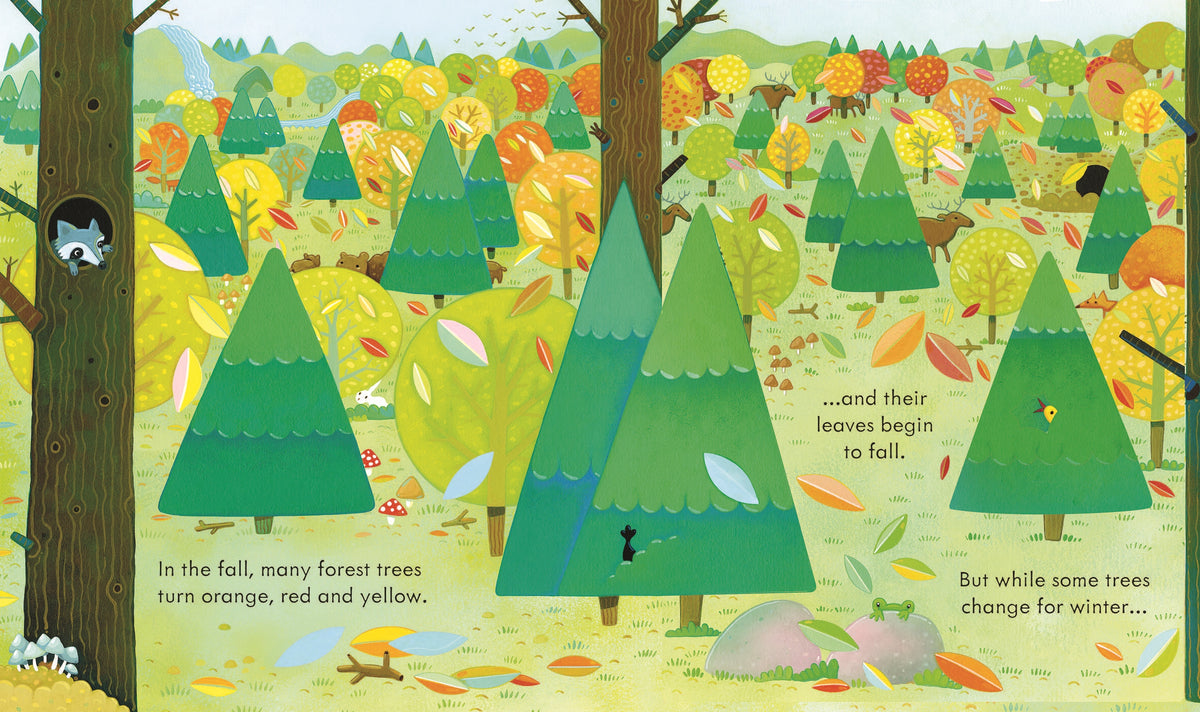 Peep Inside the Forest interior 1 (ISBN 9781474950817) [onix-asset:2bd4436cdd8e46dc7d6353b084f786ec911ca9608ed4dffeb0f56d63ce49d076]