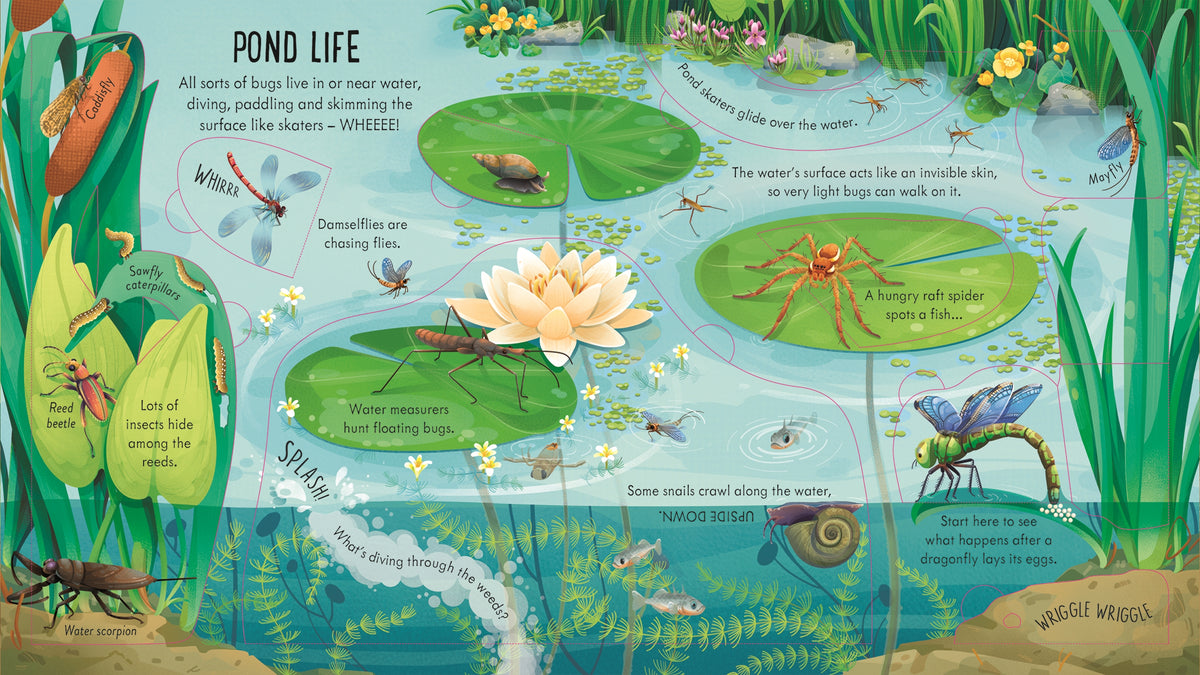 Look Inside Bug World interior 1 (ISBN 9781805074076) [onix-asset:bf03caf668ddbbcb027f70b12565d095dcb5a5d11e615adfcba37429734faf3a]