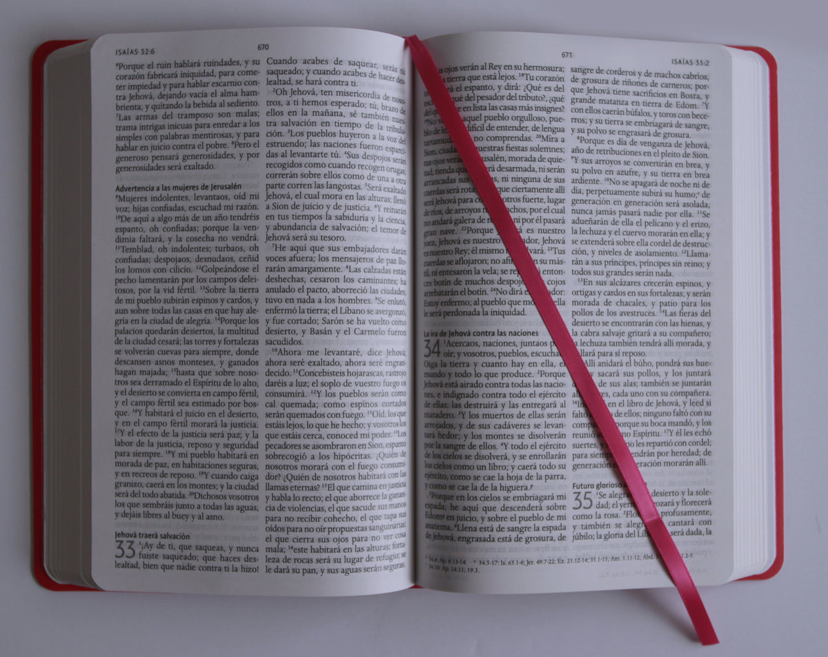 Biblia RVR 1960 letra grande, tamaño manual, Símil piel rosada, edición económica / Spanish Bible RVR 1960 Handy Size, Large Print, Pink Leathersoft interior 6 (ISBN 9798890988232) [onix:8822c2a70b1aa962fa0b80faa350f8e7]