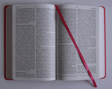 Biblia RVR 1960 letra grande, tamaño manual, Símil piel rosada, edición económica / Spanish Bible RVR 1960 Handy Size, Large Print, Pink Leathersoft interior 6 (ISBN 9798890988232) [onix:8822c2a70b1aa962fa0b80faa350f8e7]