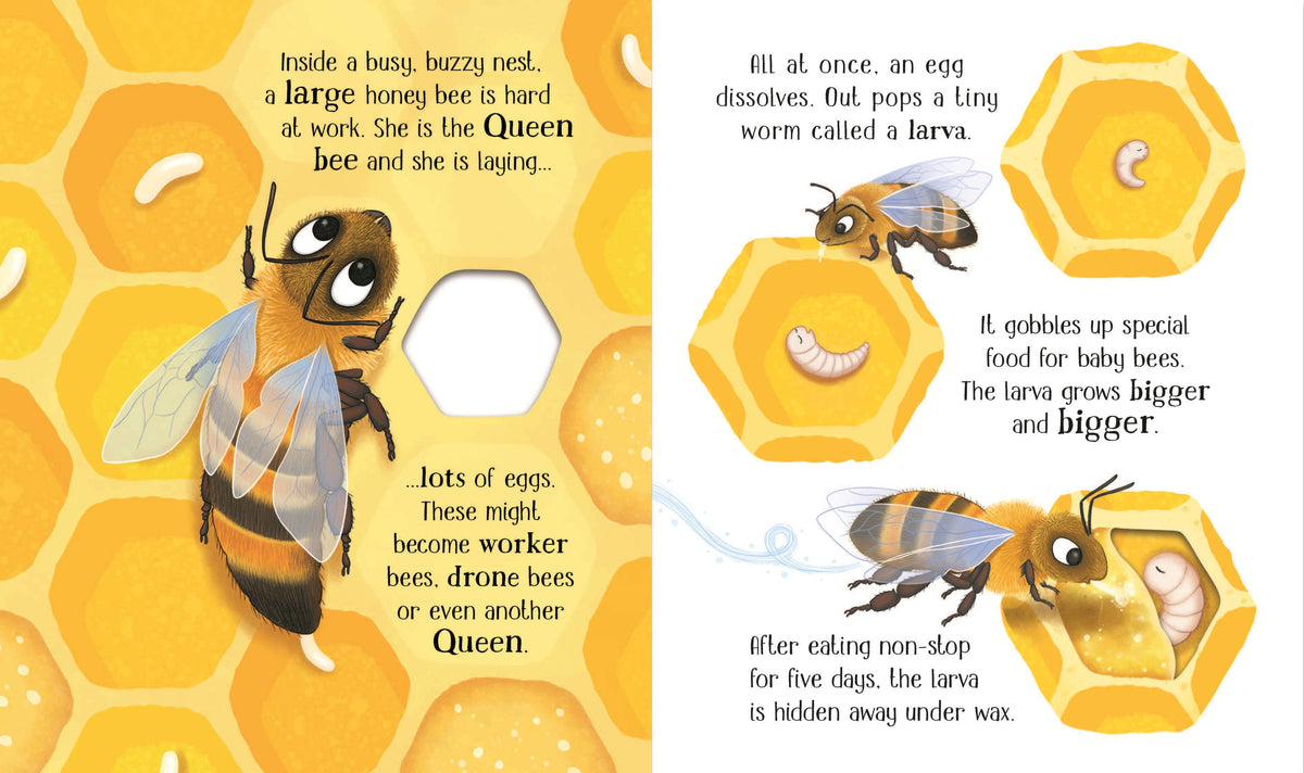 One Little Bee interior 1 (ISBN 9781805312628) [onix-asset:25e117843d9ad54501d20edae436df71a6ca416495a0fd9f857bf42503bb3bc7]