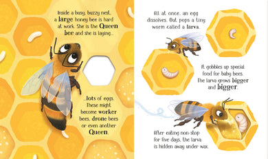 One Little Bee interior 1 (ISBN 9781805312628) [onix-asset:25e117843d9ad54501d20edae436df71a6ca416495a0fd9f857bf42503bb3bc7]