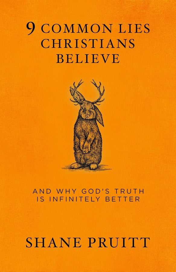 9 Common Lies Christians Believe-Religion and beliefs-買書書 BuyBookBook