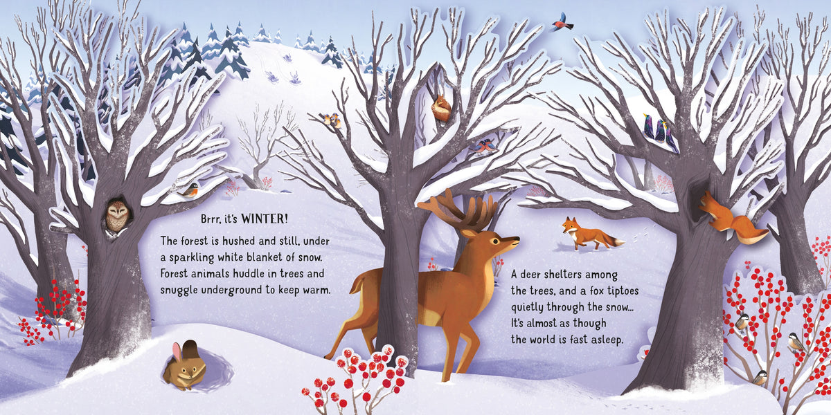 Pop-up Seasons interior 1 (ISBN 9781474972093) [onix-asset:17ae5b198fd85a706d51a1320c9eb378d62876fa4132e91857e07abc7492d2f0]