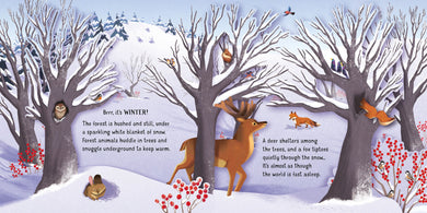 Pop-up Seasons interior 1 (ISBN 9781474972093) [onix-asset:17ae5b198fd85a706d51a1320c9eb378d62876fa4132e91857e07abc7492d2f0]
