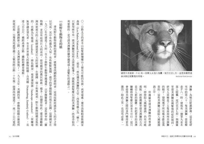 與路共生：道路生態學如何改變地球命運-Nature and the natural world: general interest-買書書 BuyBookBook