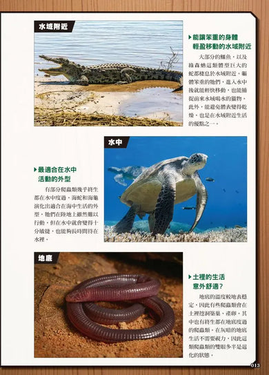 最強戰鬥6 危險爬蟲類 最強王者大戰圖鑑 (白輪剛史)-Children’s / Teenage general interest: Nature and animals-買書書 BuyBookBook