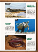 最強戰鬥6 危險爬蟲類 最強王者大戰圖鑑 (白輪剛史)-Children’s / Teenage general interest: Nature and animals-買書書 BuyBookBook